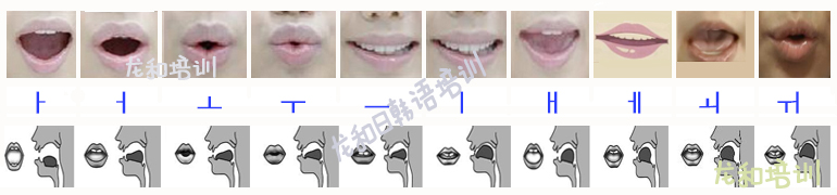 韩语字母元音的正确发音规则 对口型学习 远之博培训 深圳日语培训机构 深圳韩语培训中心